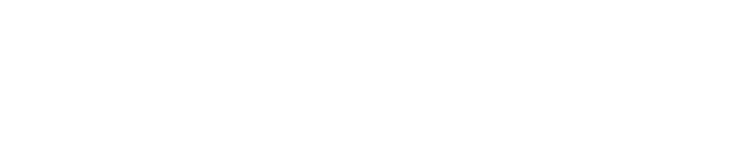 Holoconnects