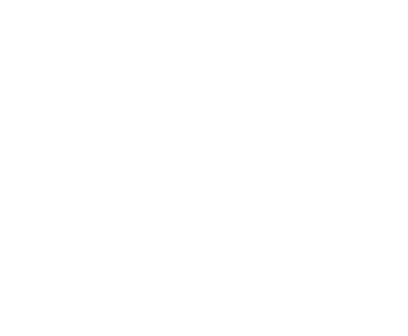 Saudi Falcons Club