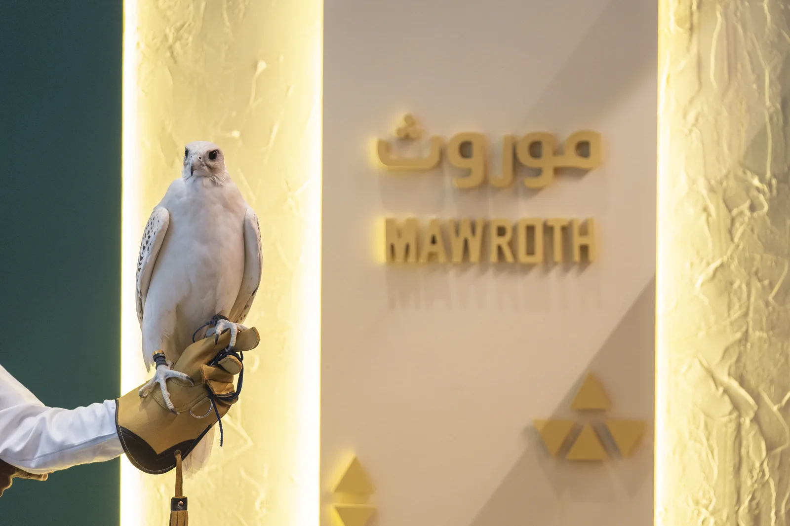 A master falconer presenting a white falcon at the Mawroth stand