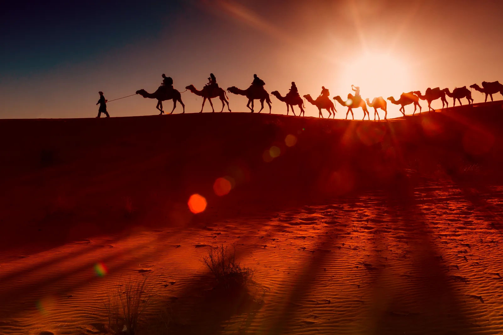 Silhouetted camel caravan crossing a sand dune ridge at fiery sunset