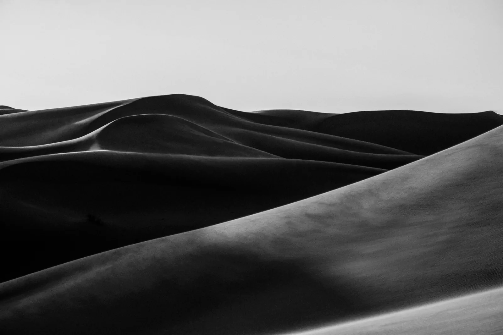 High-contrast black and white sculptural sand dunes under pale sky
